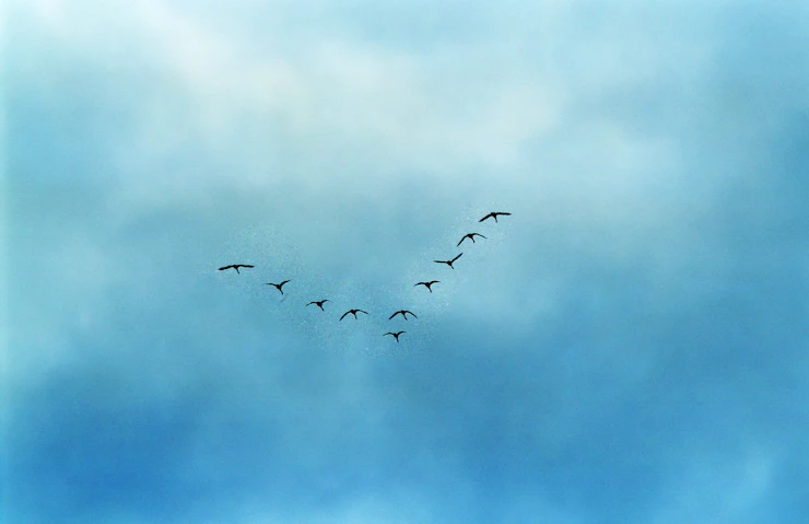 image for {title}